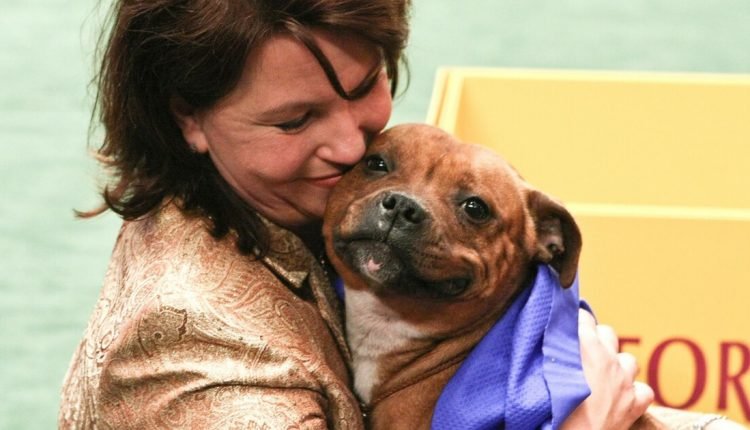 America's celebration of all things dog since 1877

