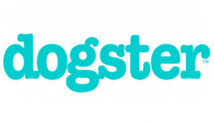 How to Improve Mental Health With Dogs – Dogster

