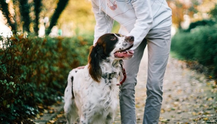 Six Signs You've Found the Best Pet Sitter