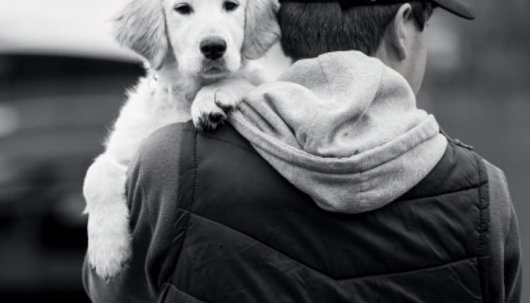 What Dog Owners Should Know About Dognapping – Dogster

