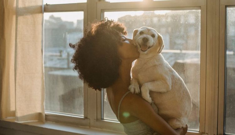 6 reasons to talk to your pets - PLAY


