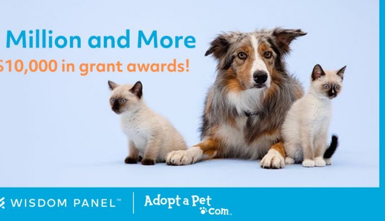 Adopt-a-Pet.com Blog Wisdom Panel™ 3 Million+ Grants

