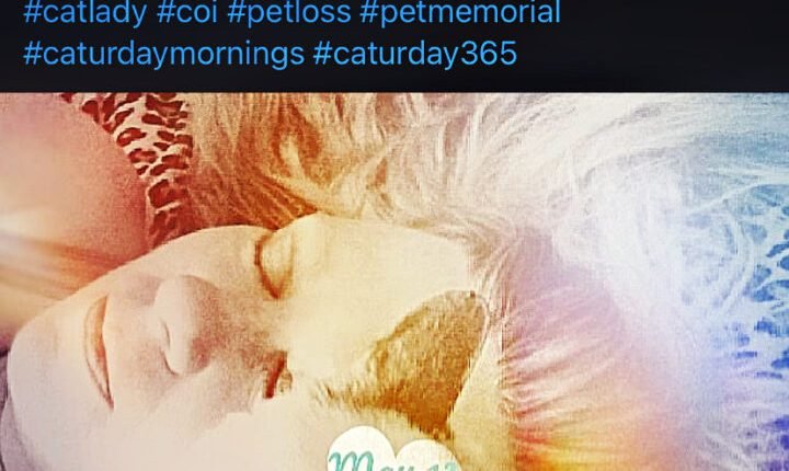 Best Friday the 13th Full Moon Lesson from a Cat |

