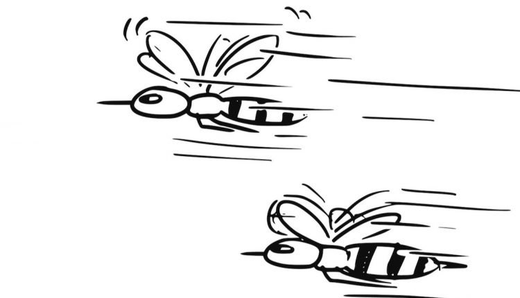 Experiencing a Grand Punisher and its fallout

