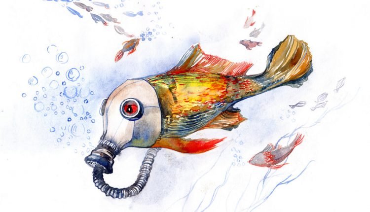 Is it safe for you and your dog to eat fish?

