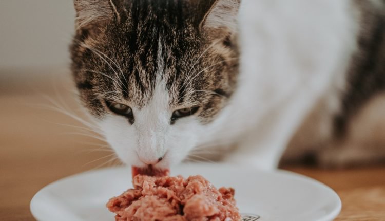 The health benefits of a raw diet

