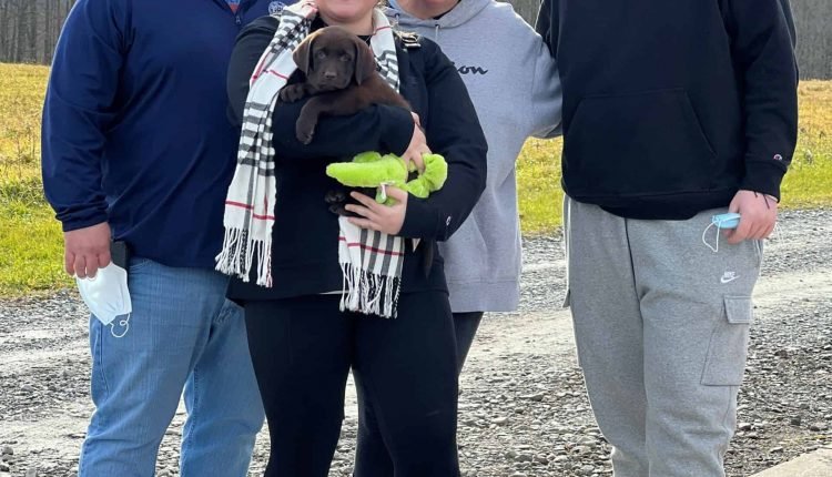  WHAT SUPPLIES DO I NEED FOR MY NEW PUPPY?  Here are the 12 Essentials!

