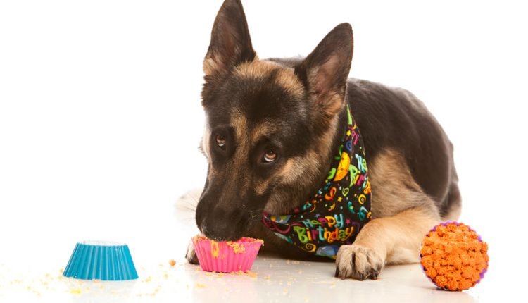  What is toxic positivity?  |  Dr Dobias

