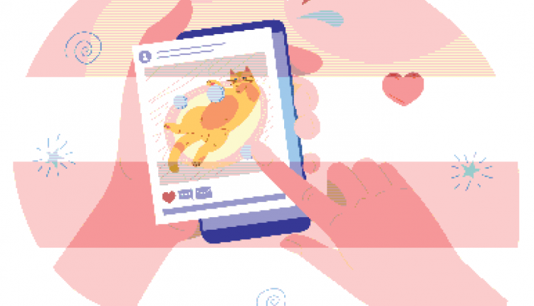 Cat Health and Social Apps

