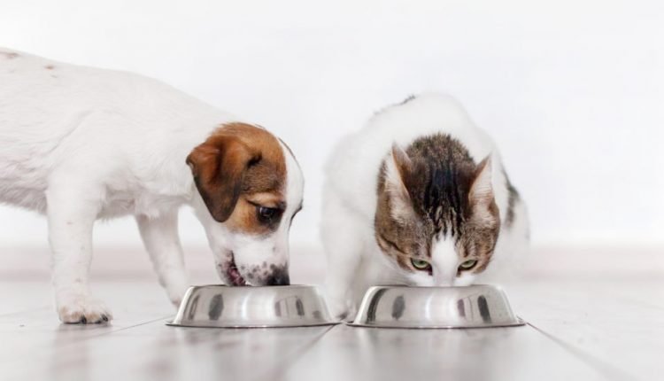 Find Freshpet dog food at Walmart and other retailers

