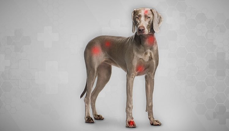 Hot spots - Diagnosis and treatment in a natural way

