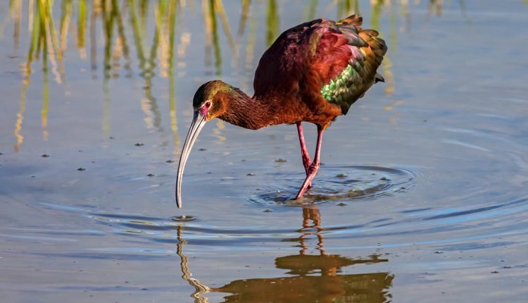 What the Inflation Reduction Act Means for Water in the West

