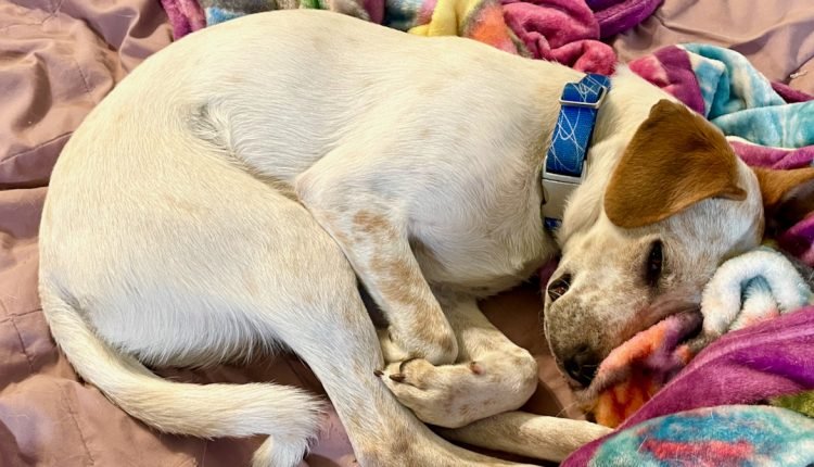 Whoever stays has negatively reinforced the behavior

