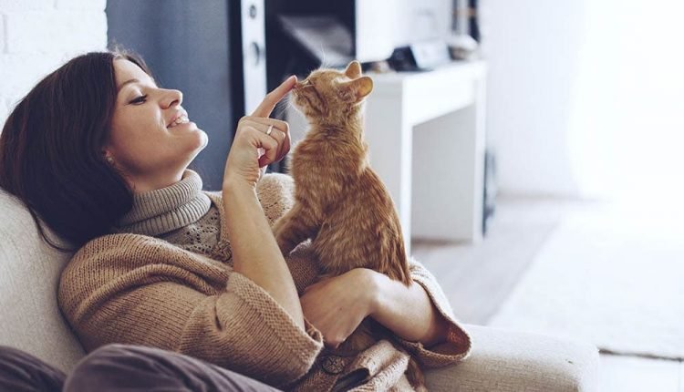 Young woman wearing warm sweater is resting with a cat