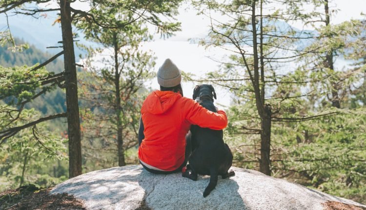 How to hike with an anxious dog – PLAY


