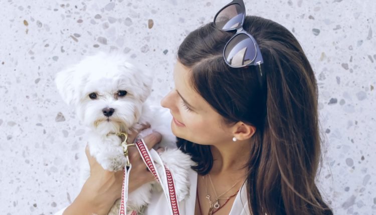 Do pet owners have the right to call themselves parents?

