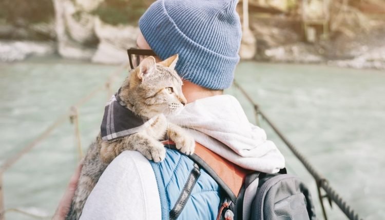 cat on man's shoulder outside