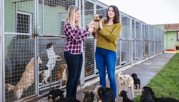 two women at an animal shelter