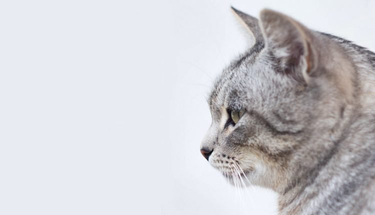 9 things you need to know - PLAY

