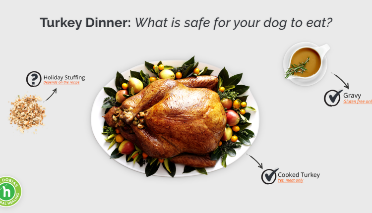 How to cook a safe turkey dinner for your dog

