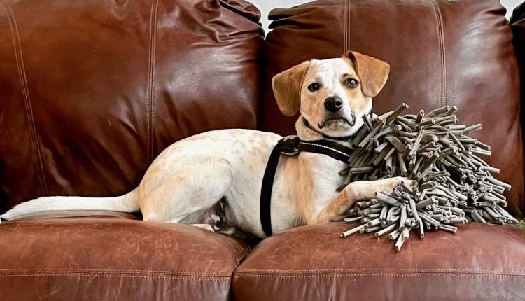  "No" is not a behavior.  .  .  But it's not the problem to say it

