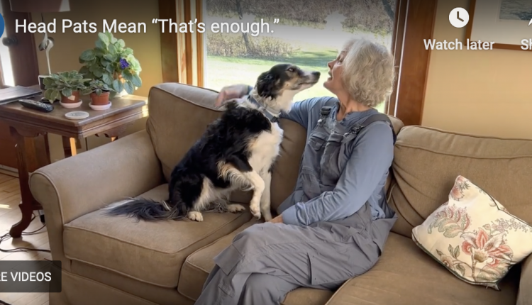  Thanks, but that's enough!  (How to Discourage Relentless Attention Seekers)

