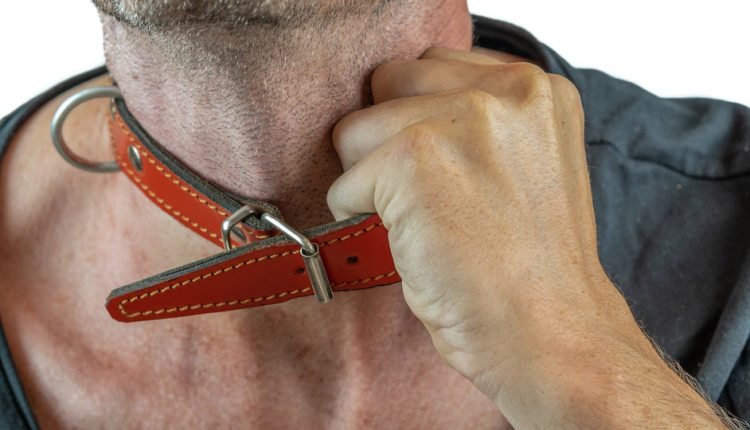  Are collars dangerous for dogs?  A story

