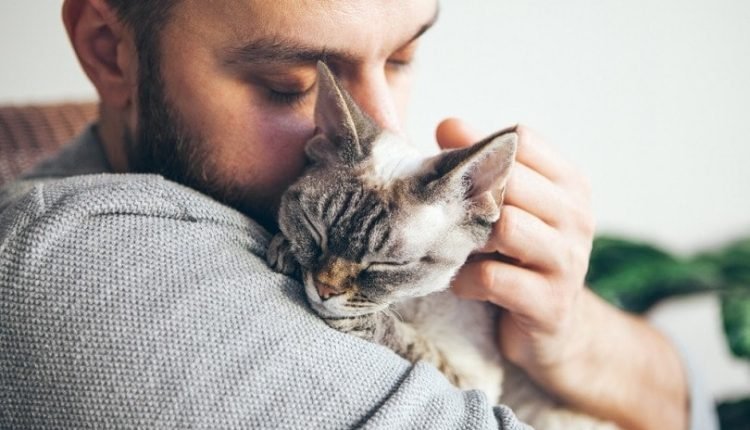 happy cat with closed eyes hug owner
