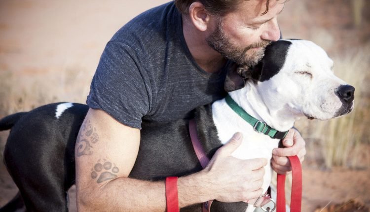 Your dog's collar can cost you thousands of dollars at the veterinarian I Dr. Dobias

