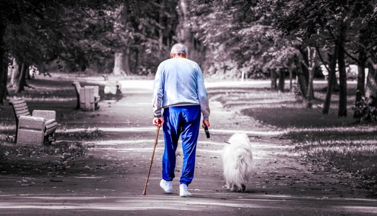 A new perspective on aging in humans and dogs