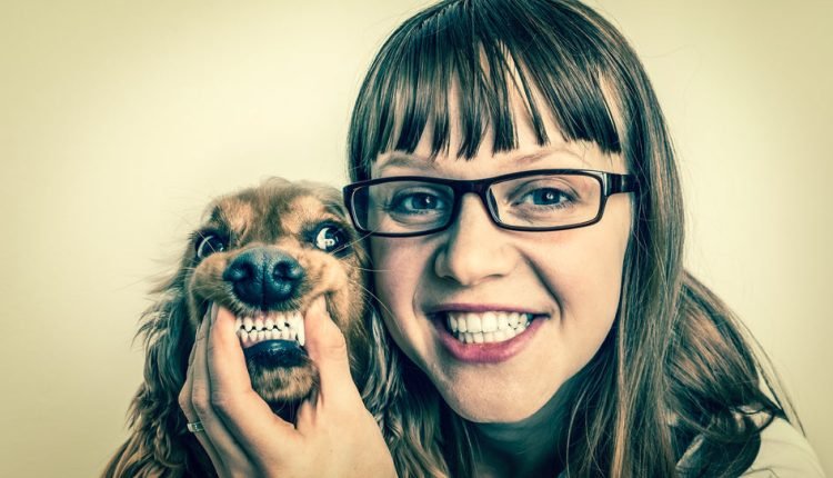 Natural Dental Care for Dogs Complete Guide and Video