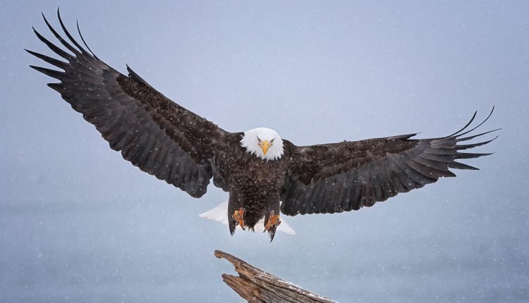 Recently Passed Federal Funding Package Invests in Natural Climate Solutions

